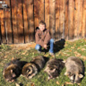 Meet your Posher, Phil ruiz